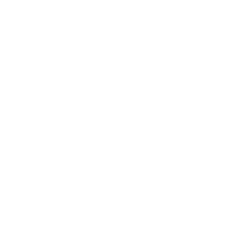 DMC Soccer